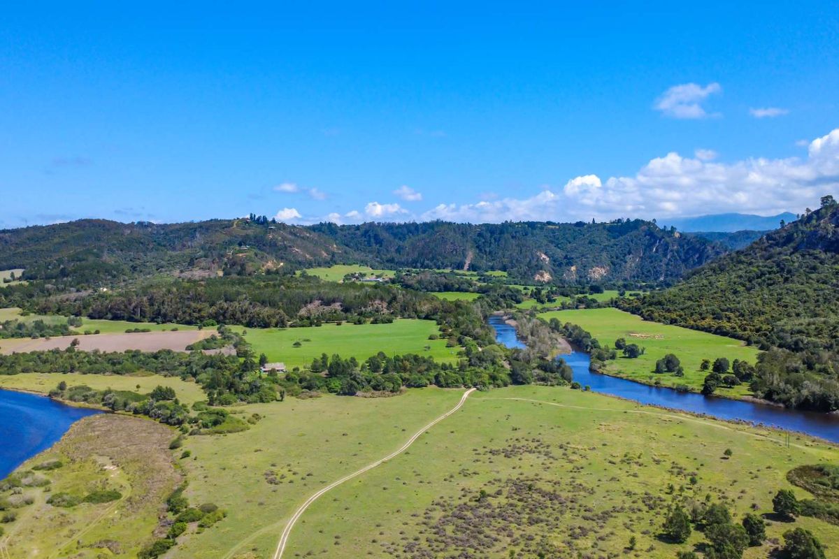 177-Hectare Riverfront Property Near Knysna - Photo 4