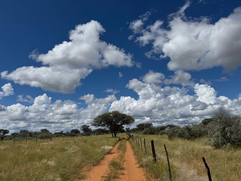 This impressive 4,100-hectare farm, strategically divided into 22 well-equipped camps, offers an exceptional opportunity for serious farming and investment. - Photo 6