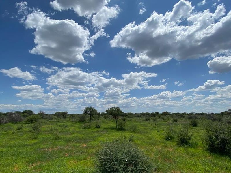 A scenic view of the open natural landscape and indigenous vegetation on the small holding property under a clear blue sky.