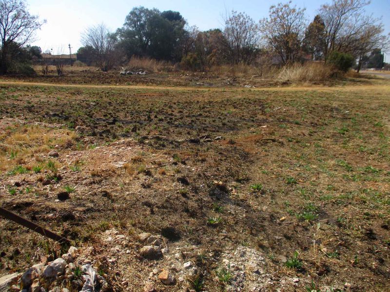 A view of a vacant residential plot featuring natural vegetation and signs of recent ground clearing or fire damage.