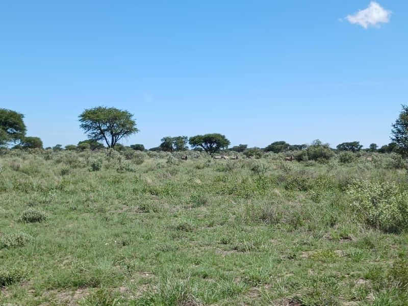 Farm For Sale - Photo 8