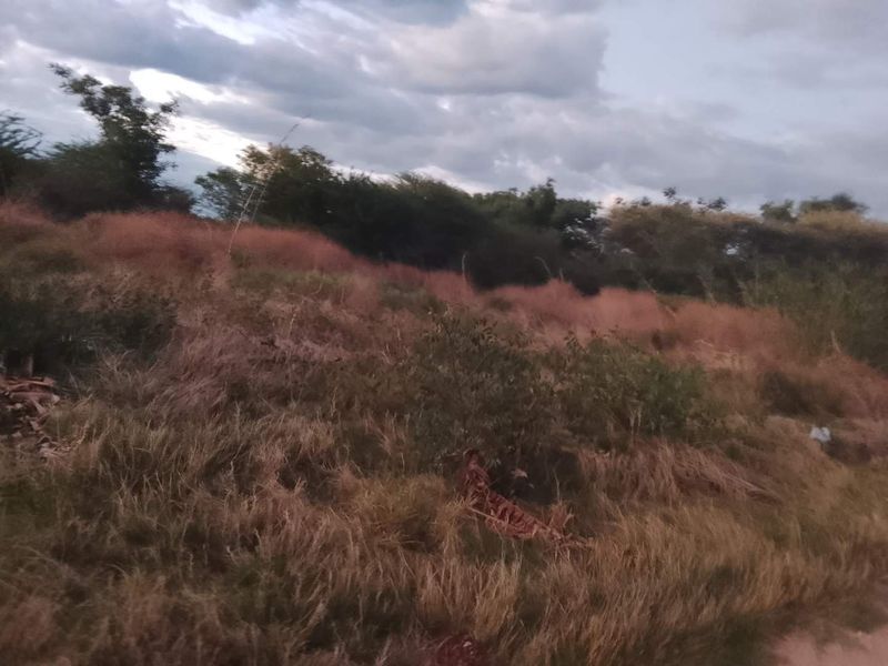An undeveloped residential land plot featuring natural vegetation and native grasses under a cloudy sky.