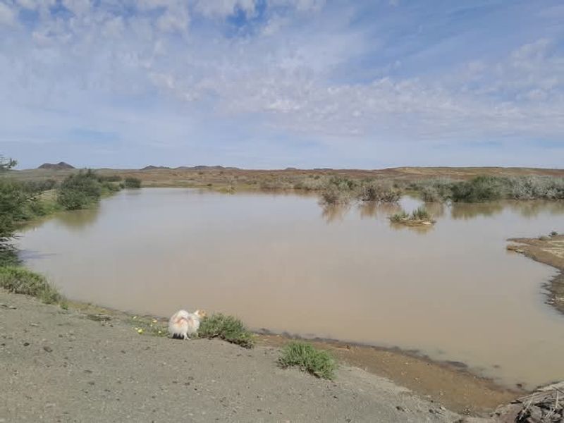 FOR SALE- FARM IN KEETMANSHOOP, NAMIBIA - Photo 6