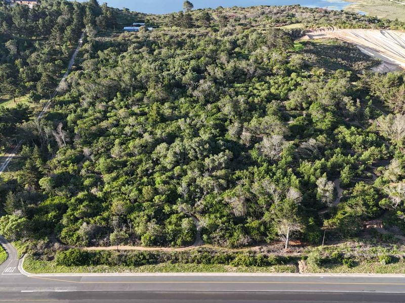 Smart Investment! Prime Land for Business or Residential Use! - Photo 5