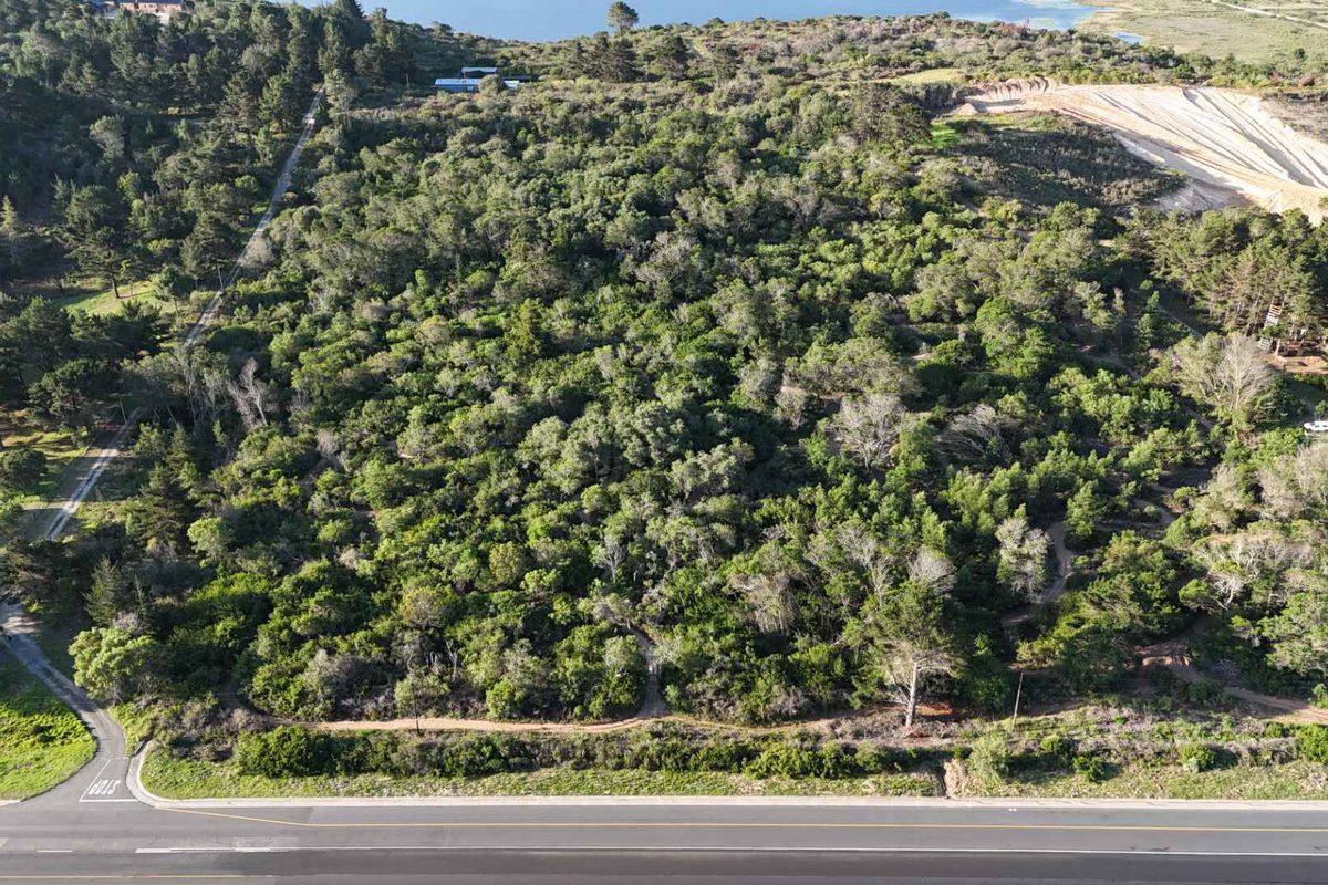 Smart Investment! Prime Land for Business or Residential Use! - Photo 5