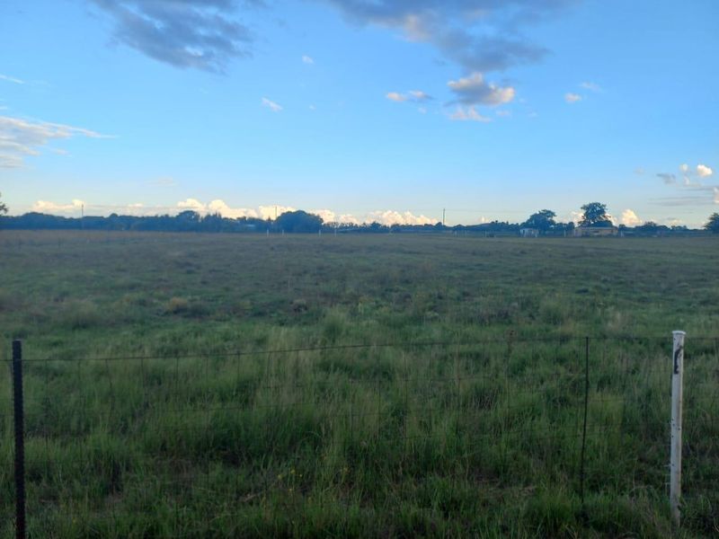 Prime Vacant Land - Photo 2