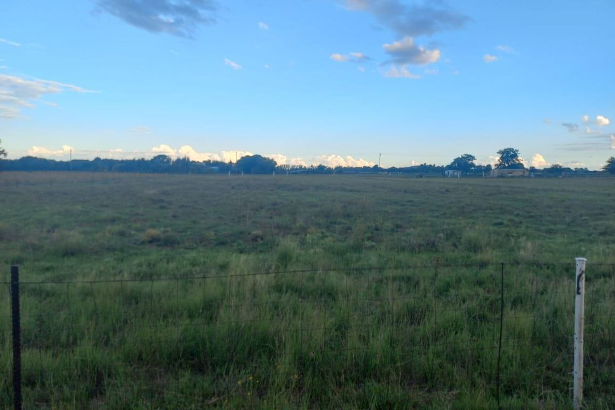 Prime Vacant Land - Photo 2