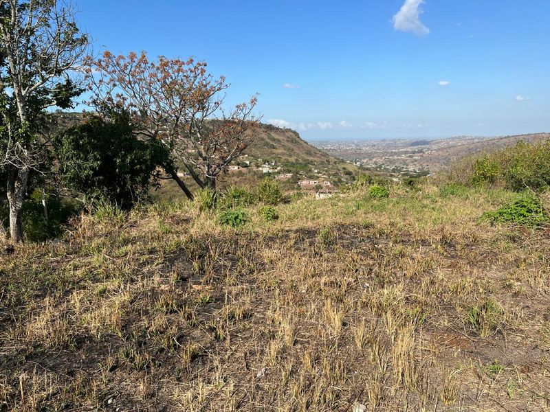 Massive Vacant Land for Sale in Nagina - Photo 6