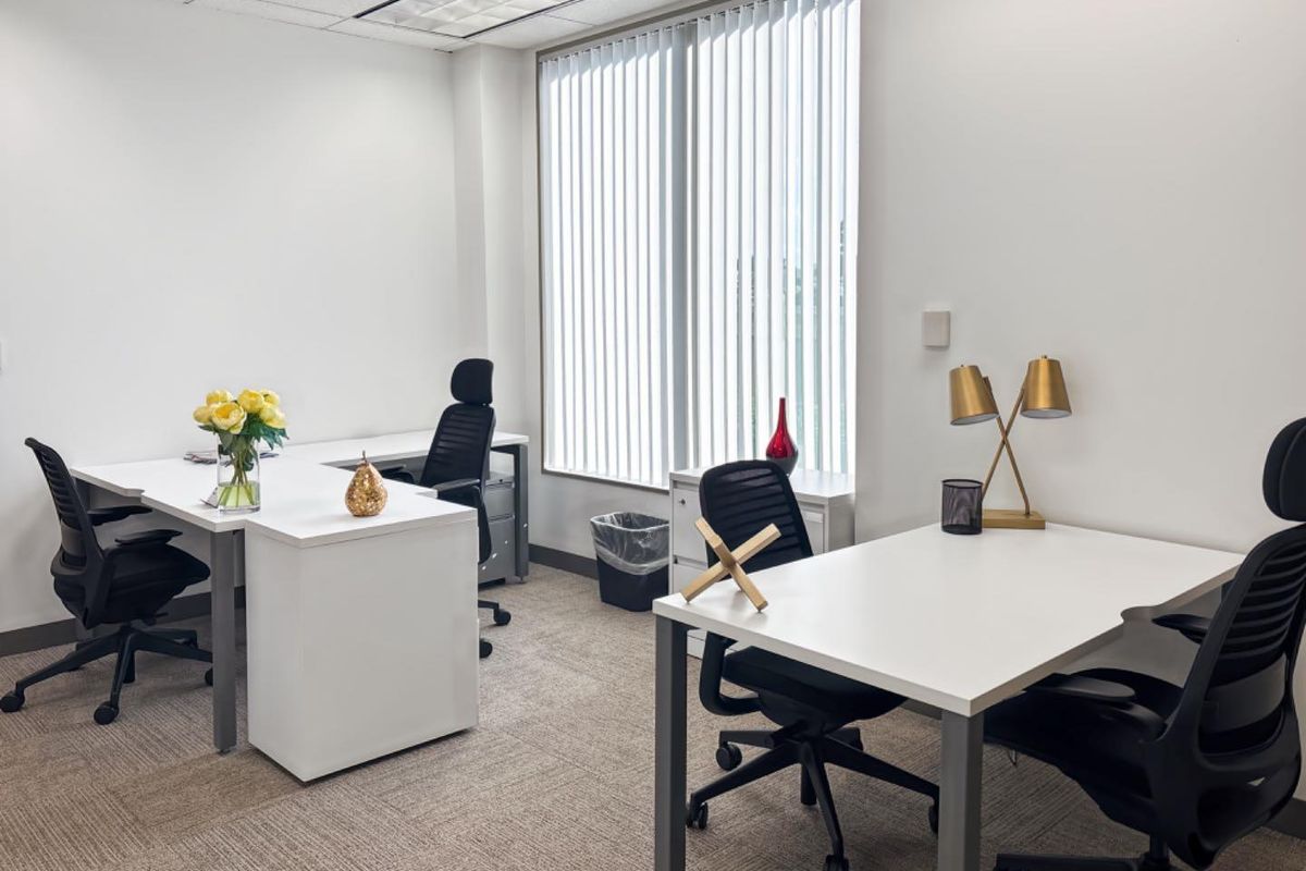A bright, professional office space featuring neutral carpet flooring, a suspended ceiling, and large windows with vertical blinds for natural light.