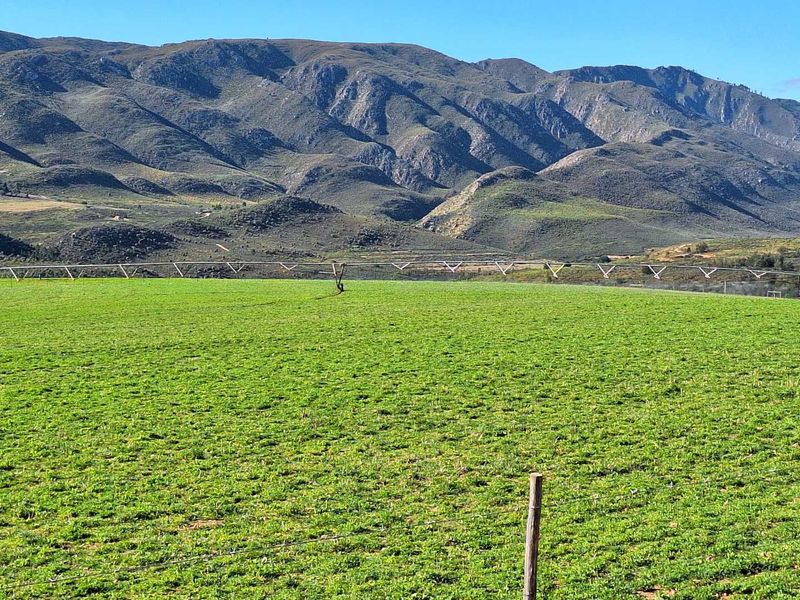 Water - Water - Water - Photo 4