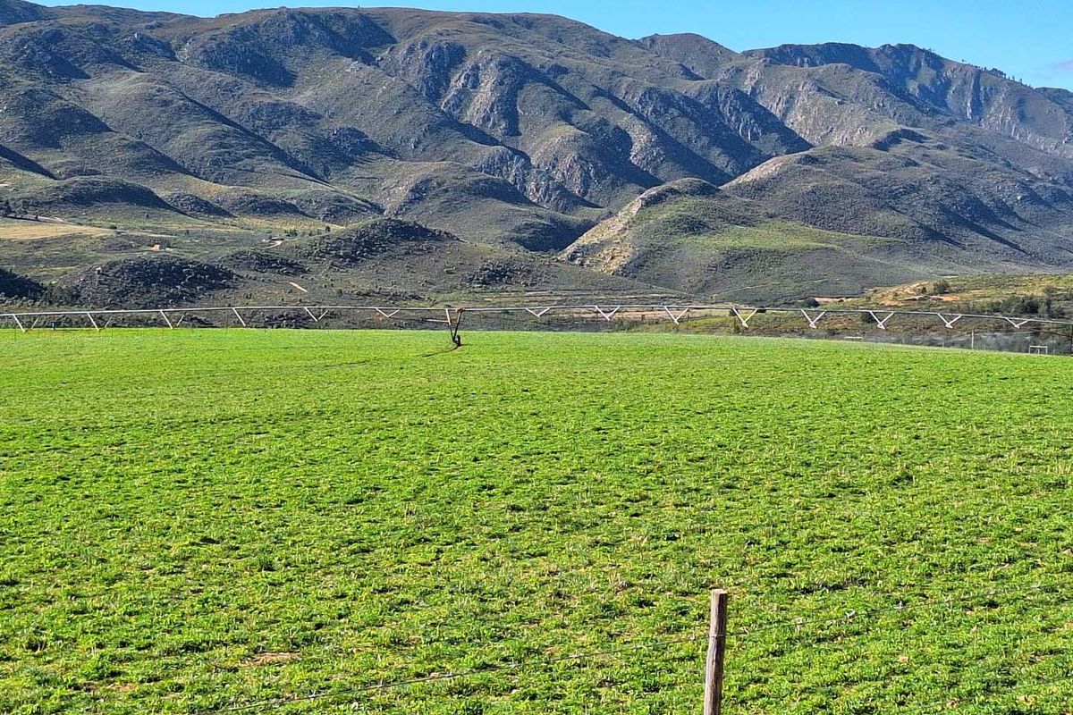 Water - Water - Water - Photo 4