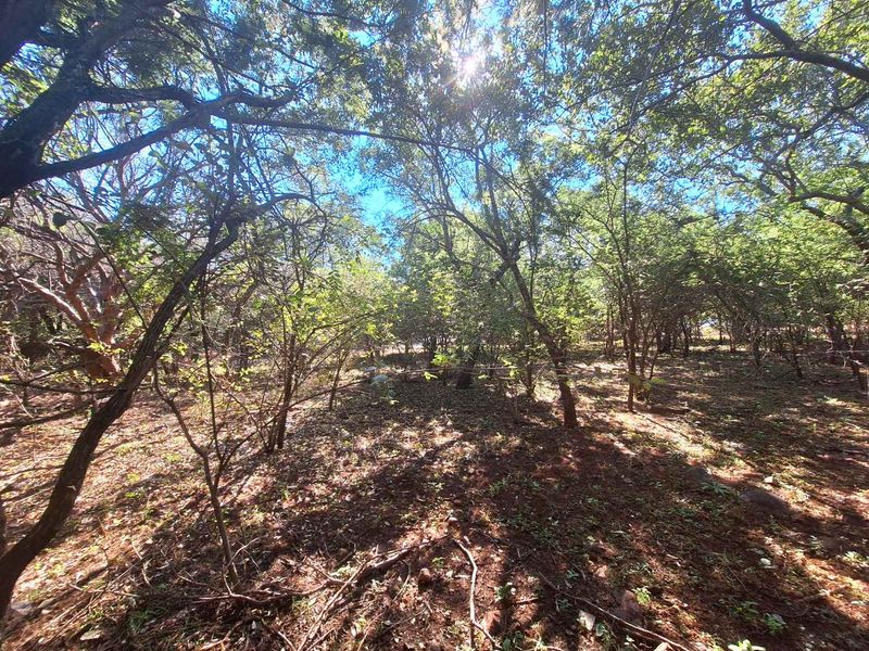 Secure Your Slice of Leeupoort's Natural Beauty Today - Photo 5