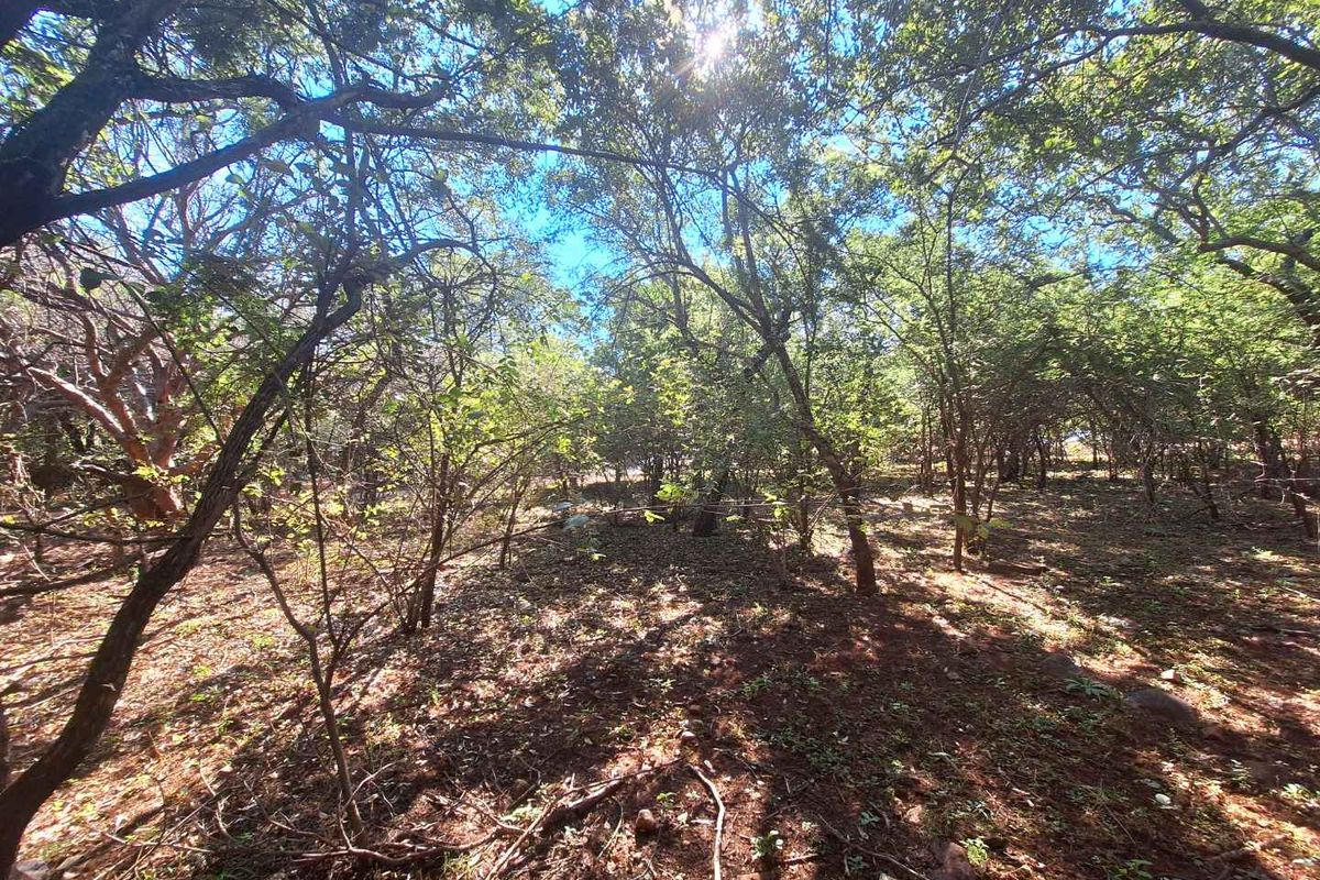 Secure Your Slice of Leeupoort's Natural Beauty Today - Photo 5