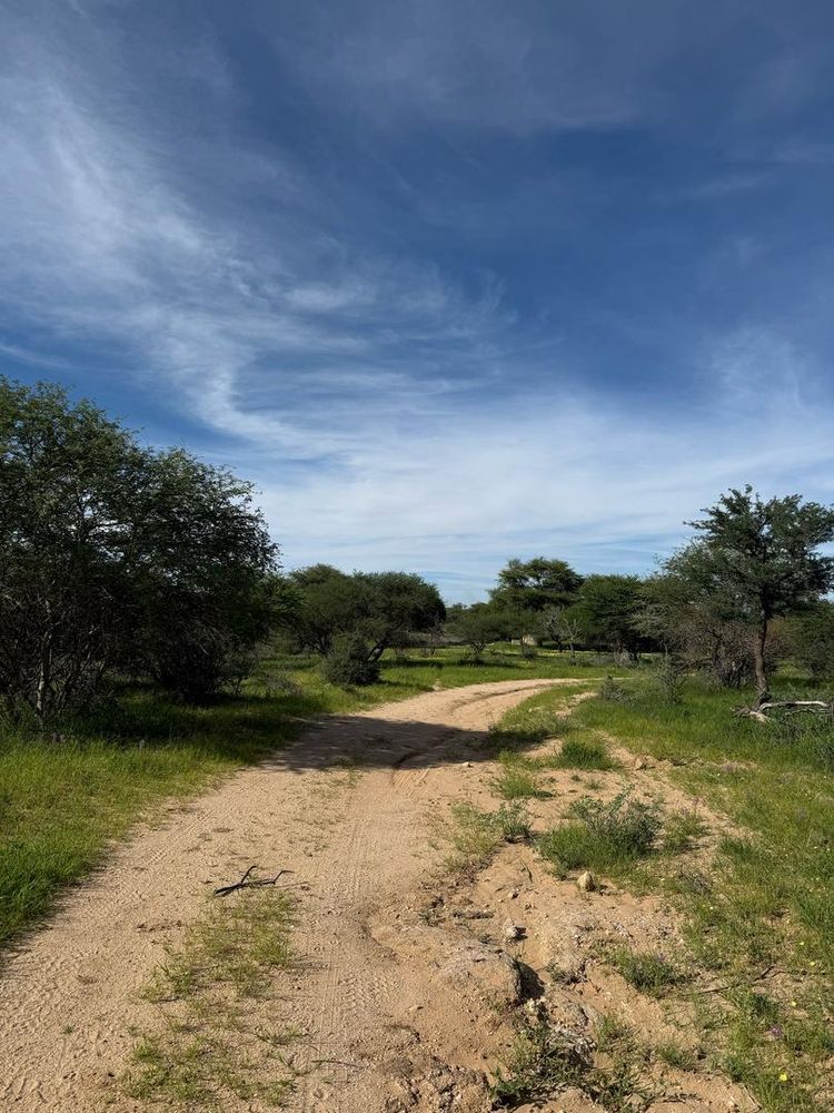 View of the field on the Farm