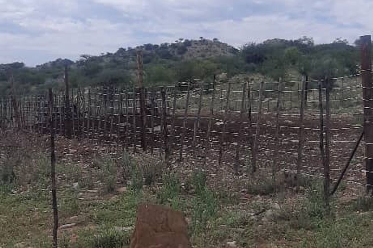 Agricultural Farm with Diverse Potential - Photo 5