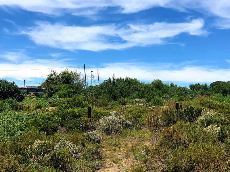 A view of a vacant residential plot featuring natural vegetation and existing boundary fence posts.