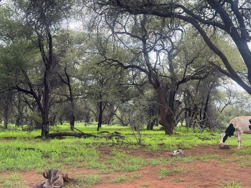 Live the Dream: 1500ha of Untamed Damaraland Bliss! - Photo 7