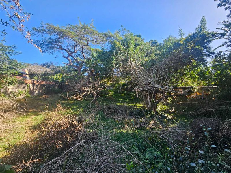 FOR SALE: A Once-in-a-Lifetime Opportunity in St Lucia's Most Prestigious Location LOCATION, LOCATION, LOCATION! - Photo 9