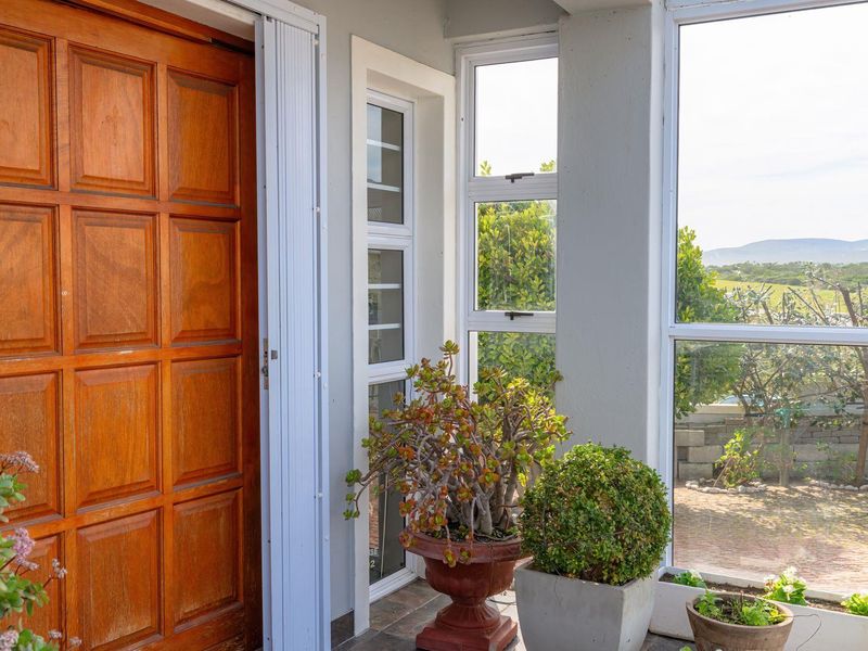 A bright entrance foyer featuring a solid timber panelled front door and large windows providing natural light and garden views.