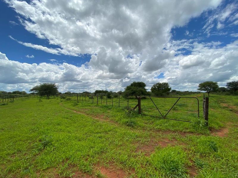 Expansive open grazing land featuring established wire fencing and a functional metal farm gate, set against a natural bushveld landscape.