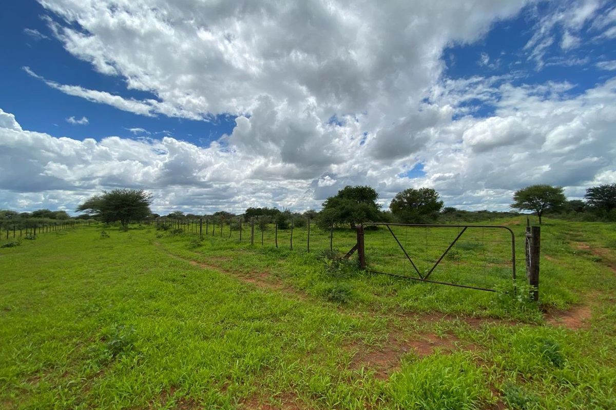 Expansive open grazing land featuring established wire fencing and a functional metal farm gate, set against a natural bushveld landscape.