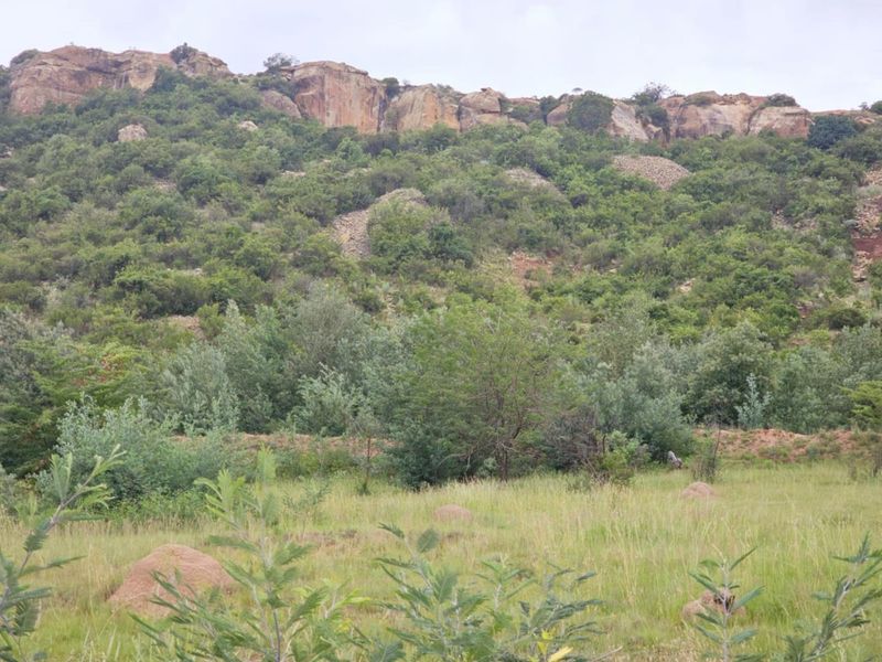 "The Perfect Blank Canvas: Create Your Mountain Haven! - Photo 2