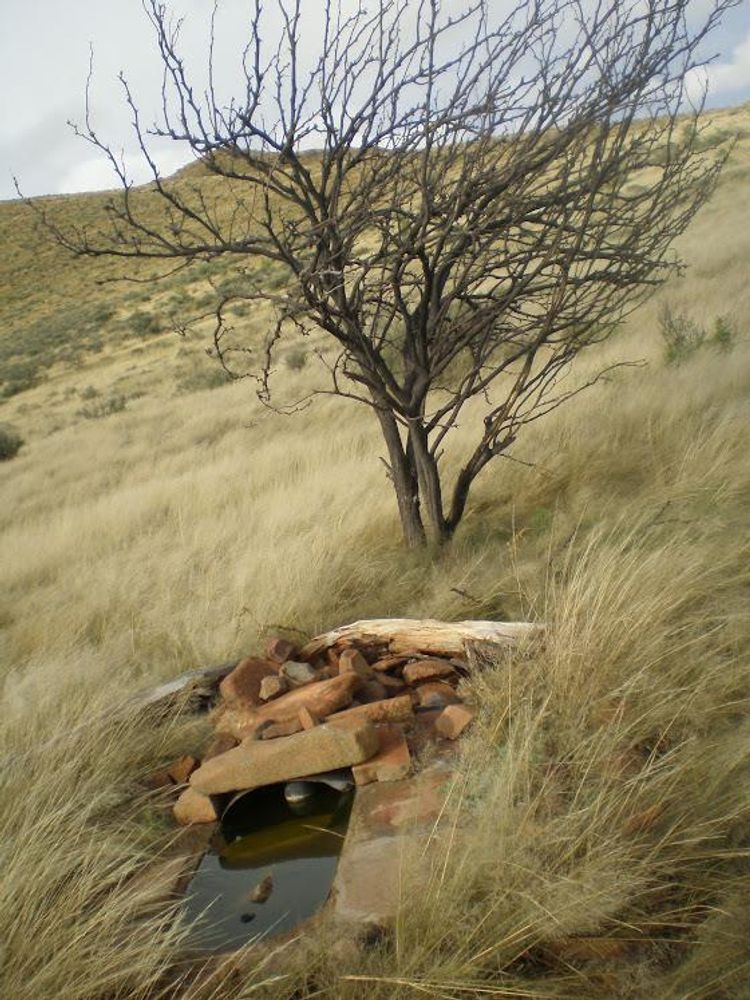 Another water point that is surrounded by grass