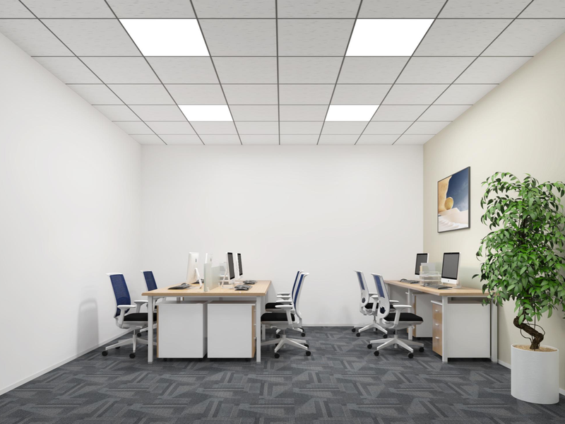 A modern, well-lit office space featuring a suspended ceiling with recessed LED panels and durable carpet tile flooring.