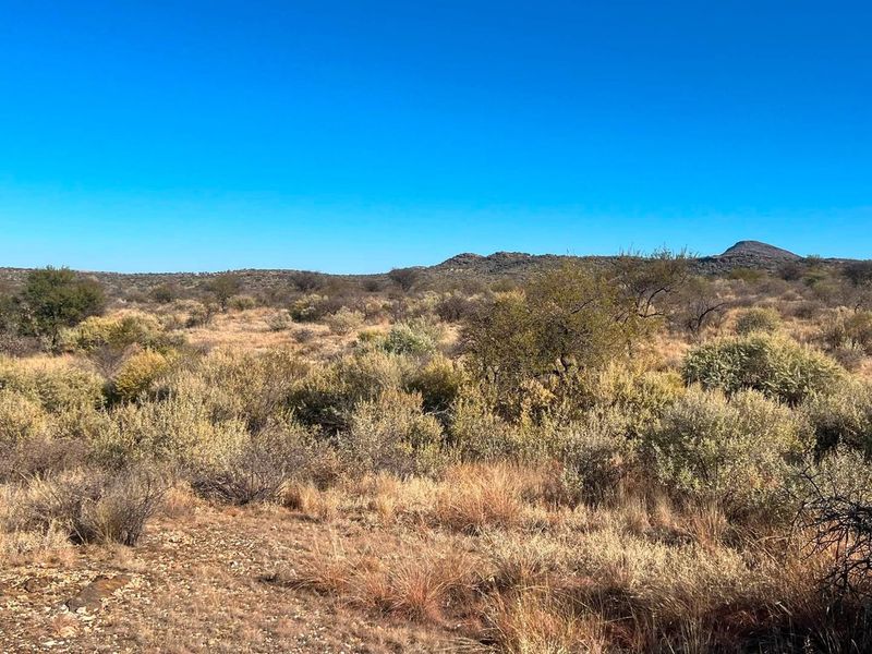 A wide-angle view of the natural landscape featuring native shrubs, dry grasses, and rocky terrain under a clear blue sky.