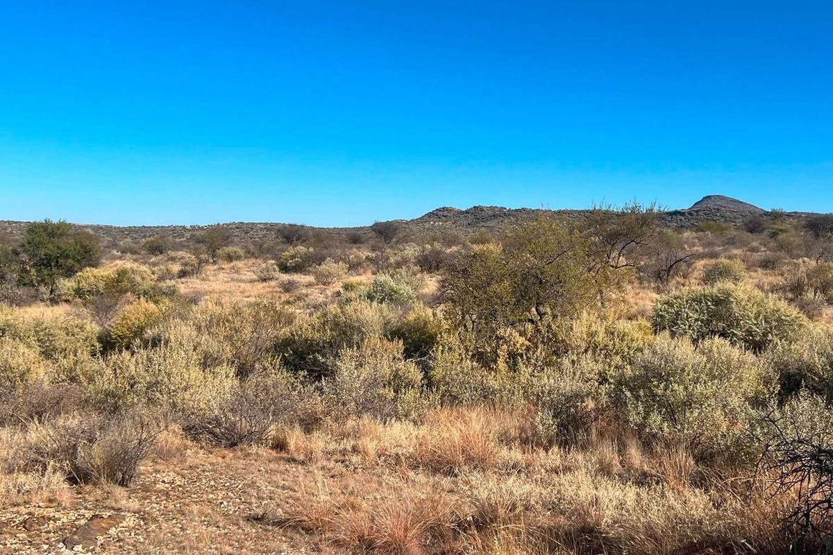 A wide-angle view of the natural landscape featuring native shrubs, dry grasses, and rocky terrain under a clear blue sky.