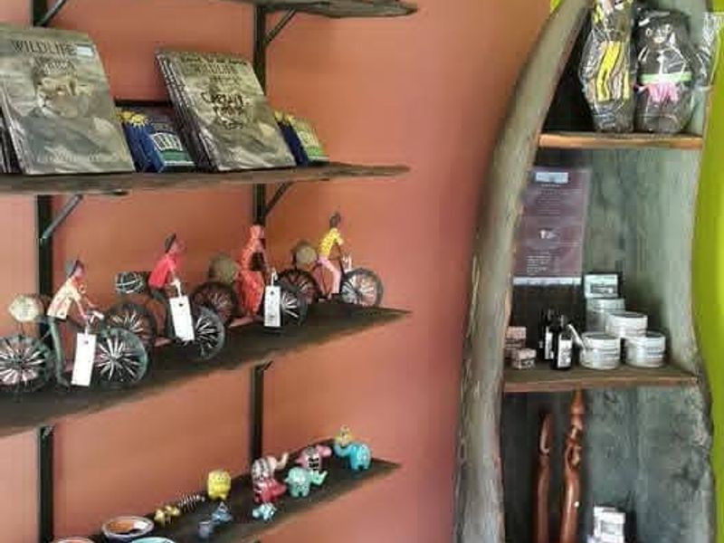 A retail display area featuring wall-mounted shelving and a unique carved wooden display unit for merchandise.
