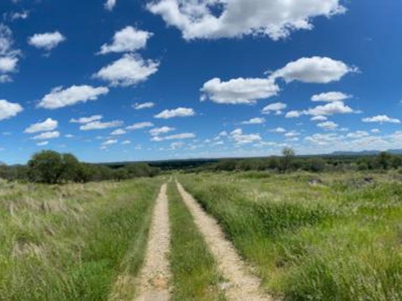 Panoramic view of the expansive natural landscape and open veld on the small holding, featuring a central dirt access track.