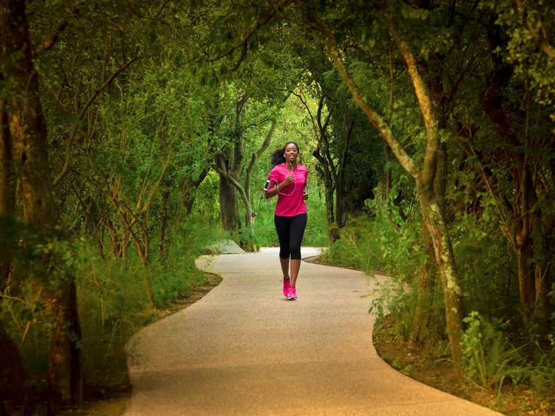 Prime Fairway & Dam Stand in Steyn City - Photo 7