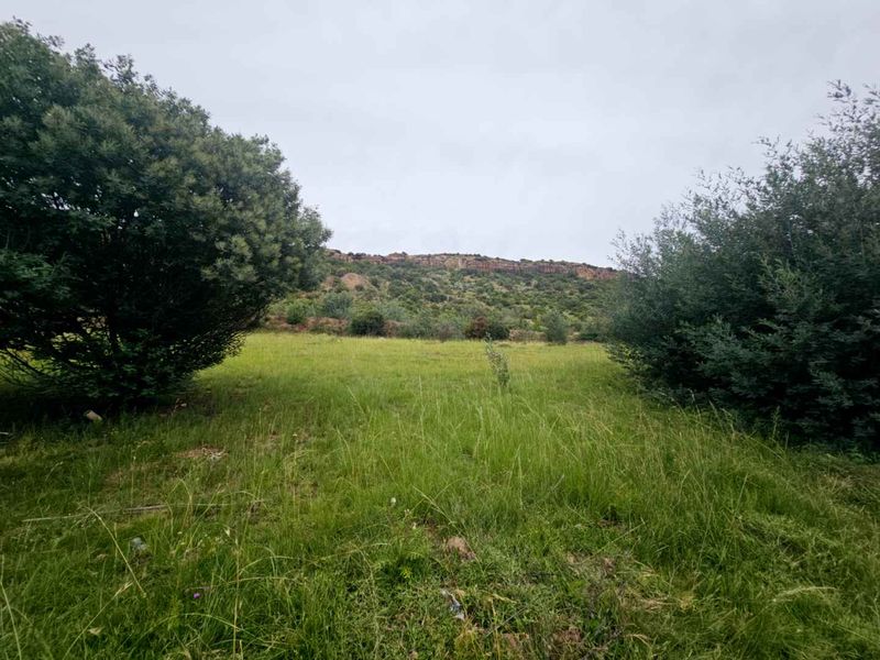 **Discover Your Future Home Site with Stunning Mountain Views** - Photo 3