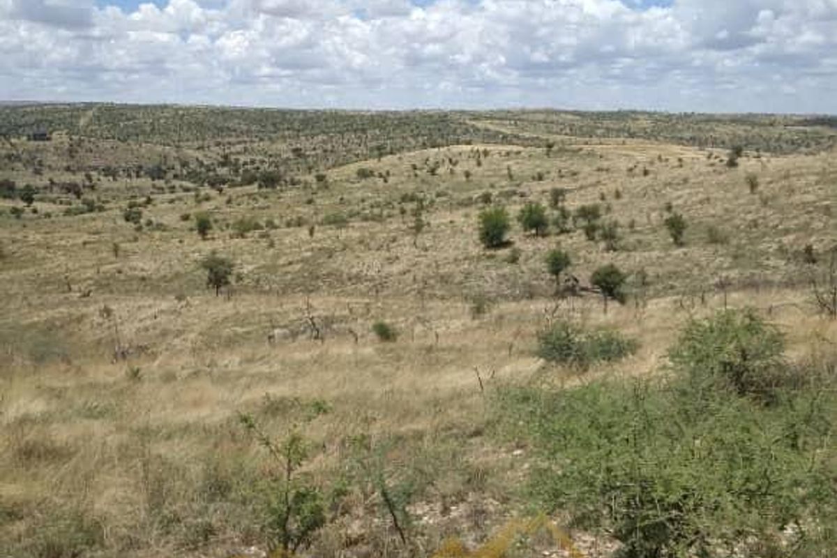Expansive view of the natural landscape and open veld terrain characteristic of the small holding property.