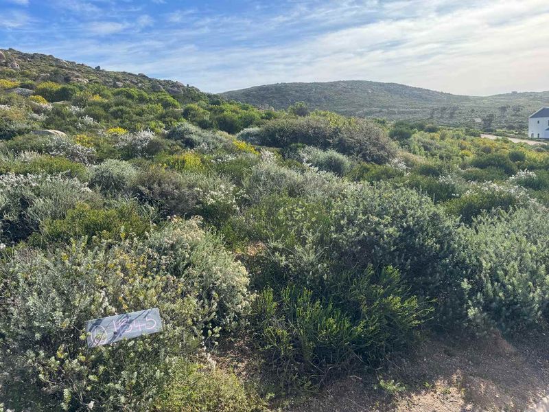 Coastal Stand for Sale – St Helena Views Phase 2 - Photo 3