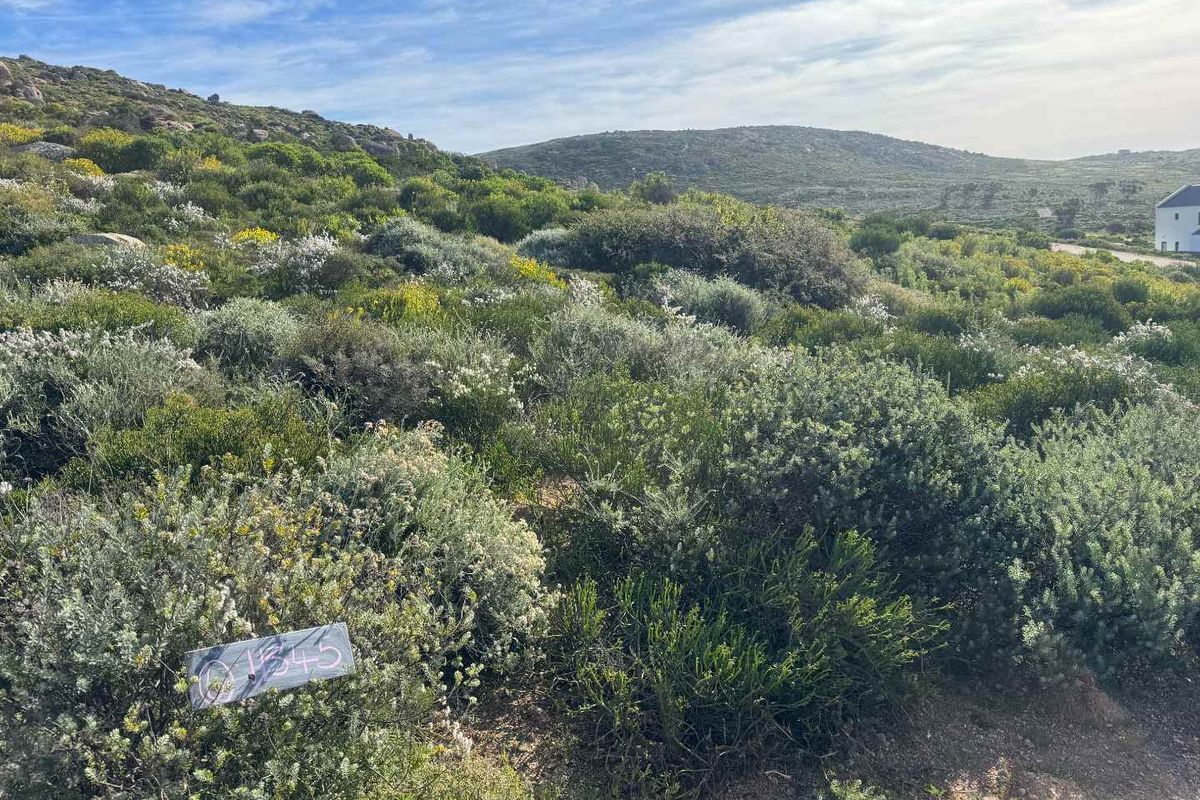 Coastal Stand for Sale – St Helena Views Phase 2 - Photo 3