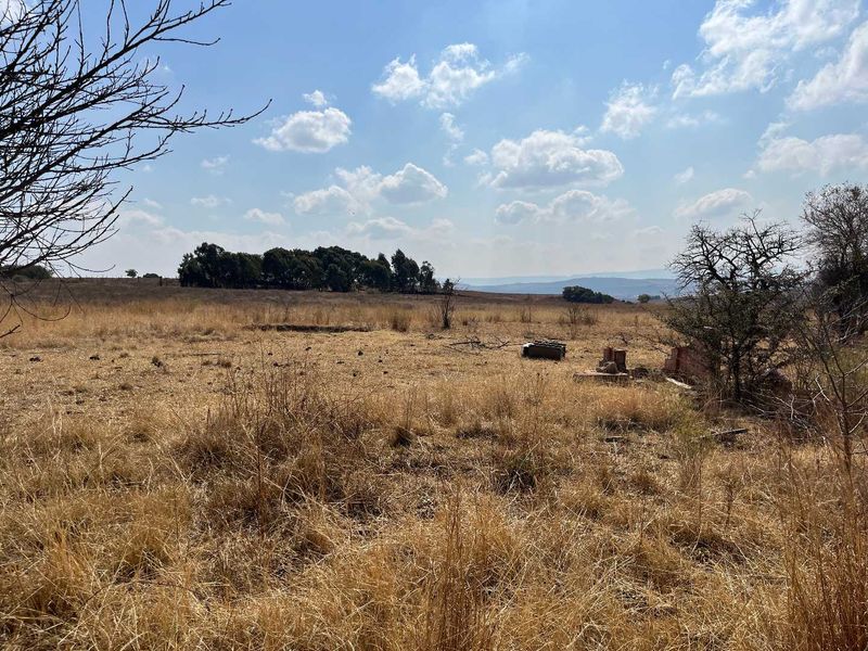 Huge Land with lots of potential - Photo 7