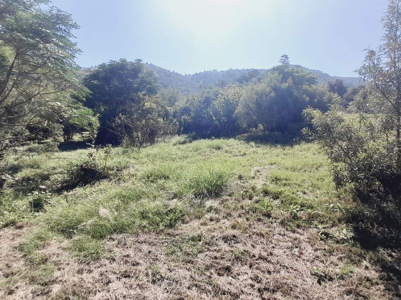 "Kosmos Ridge: Luxury Living with Nature's Backdrop!" - Photo 5