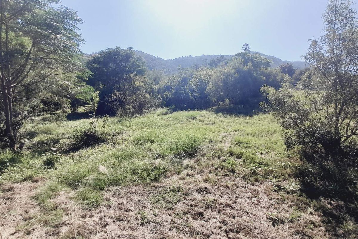 "Kosmos Ridge: Luxury Living with Nature's Backdrop!" - Photo 5