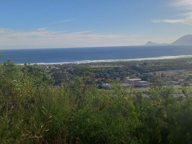 RURAL COASTAL ENTHUSIASTS - Photo 5