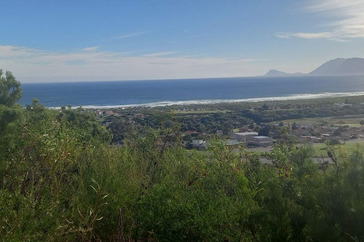 RURAL COASTAL ENTHUSIASTS - Photo 5