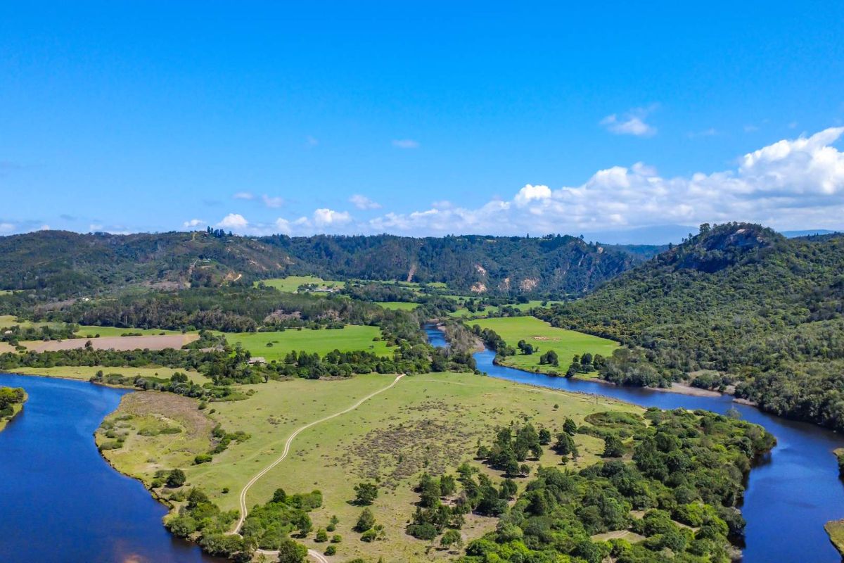 177-Hectare Riverfront Property Near Knysna - Photo 2