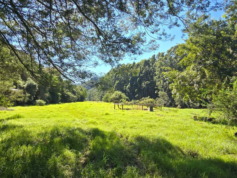 Spectacular Ruiterbos Farm with River Frontage & Panoramic Views - Photo 3