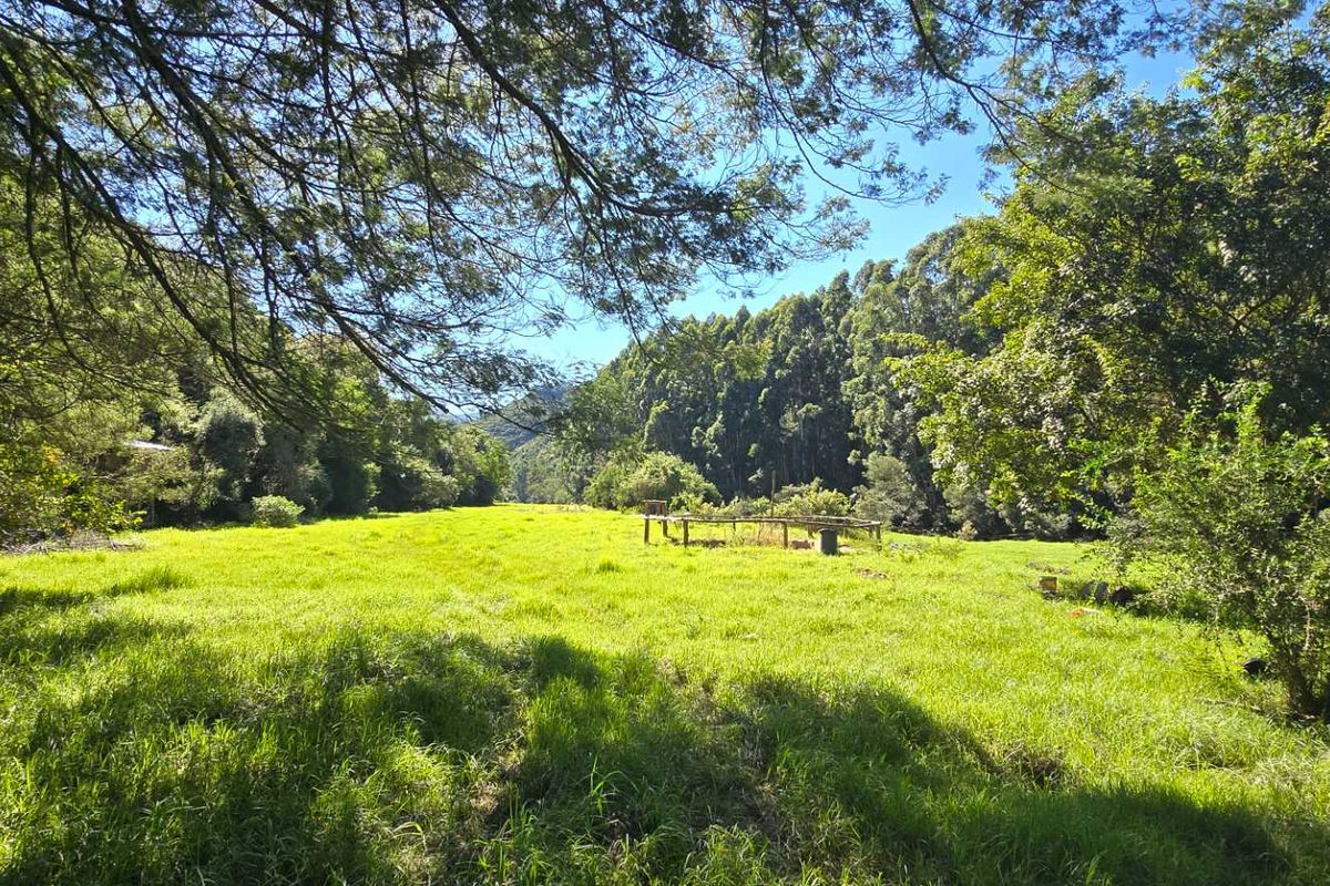 Spectacular Ruiterbos Farm with River Frontage & Panoramic Views - Photo 3