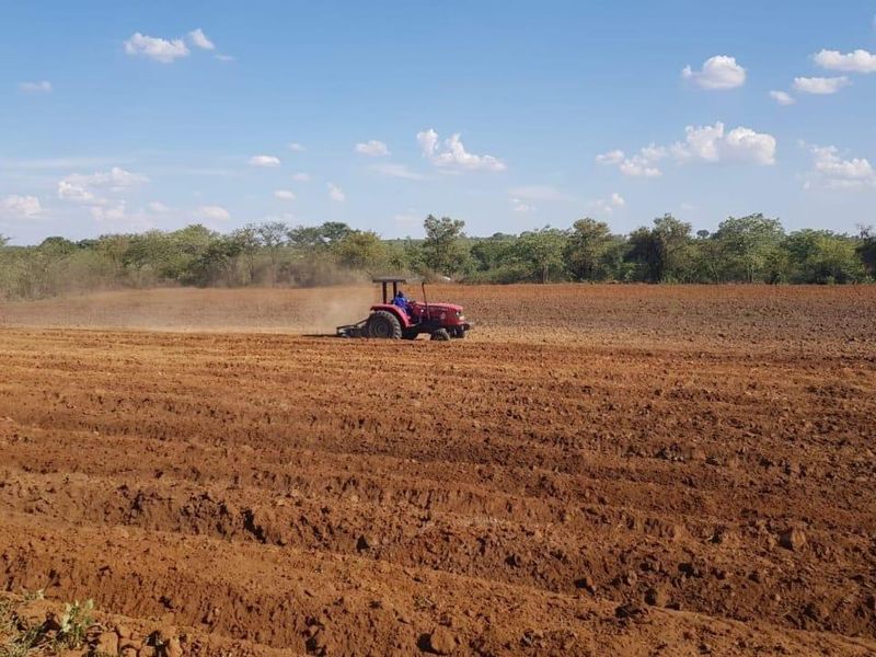 13 Hectares Farm for sale at Mangondi Ha Jimkone - Photo 3
