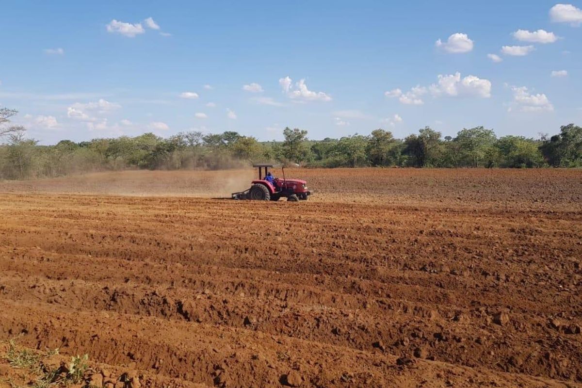 13 Hectares Farm for sale at Mangondi Ha Jimkone - Photo 3