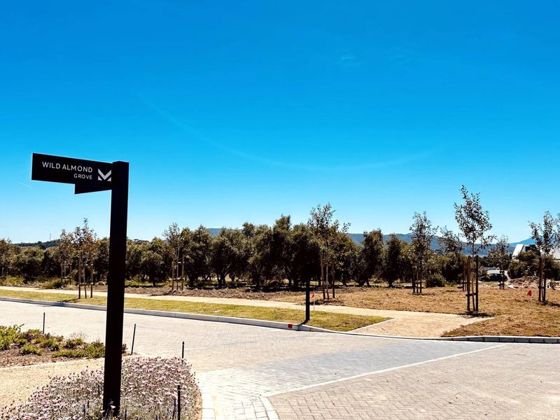 Modern Single-Storey Architectural Home in Mount Vernon Residential Estate - Photo 10