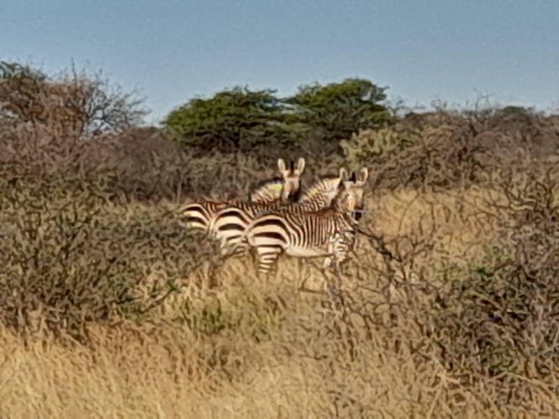 Gobabis Geust farm - Photo 3