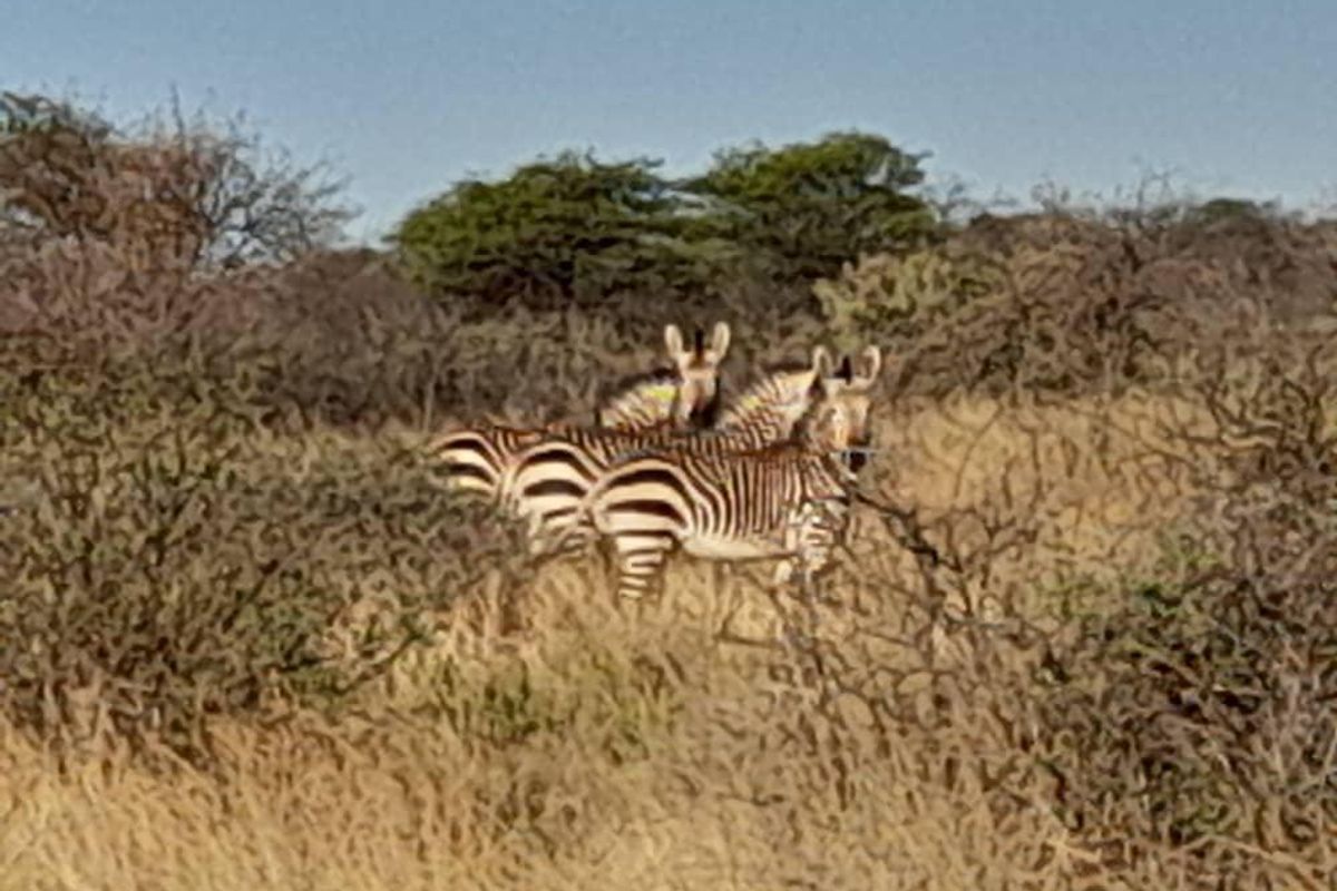 Gobabis Geust farm - Photo 3